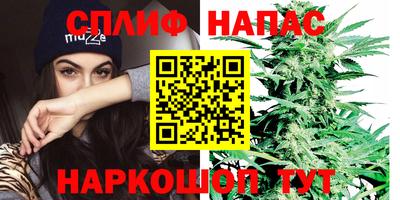гидра Татарск