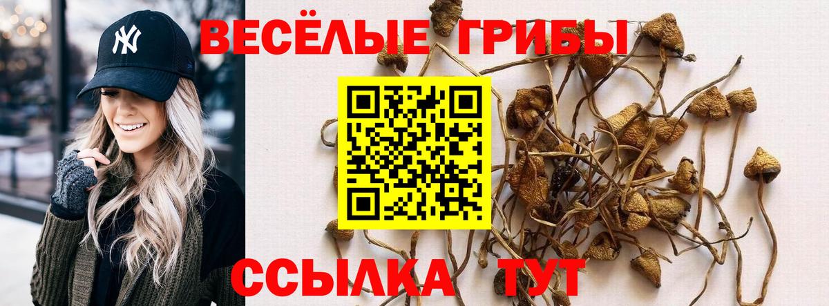 Галлюциногенные грибы Magic Shrooms  Вход с VPN  Новороссийск 