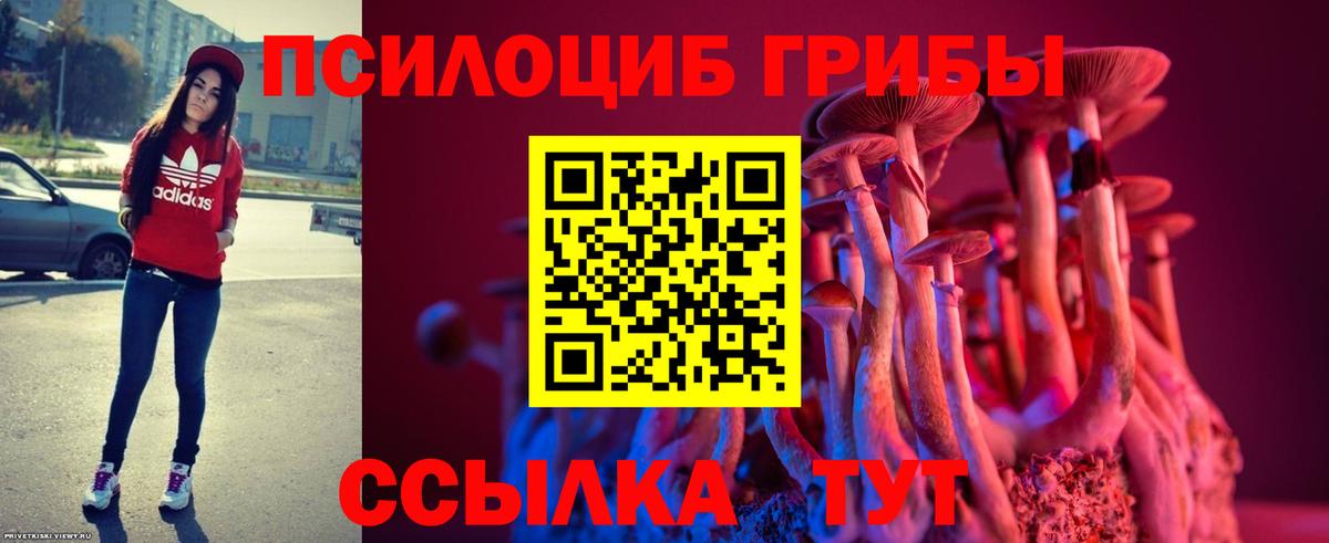 Галлюциногенные грибы Psilocybine cubensis Новороссийск