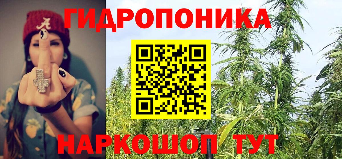 Шишки марихуана AK-47 Новороссийск